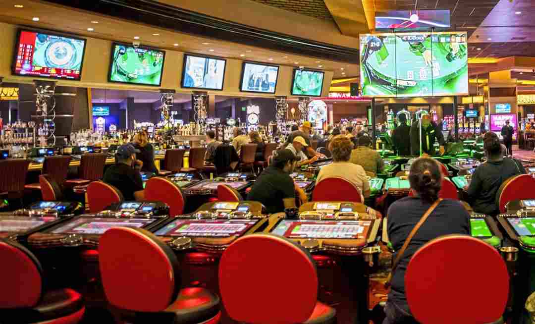 Rich Casino - Khu phức hợp giải trí và casino đẳng cấp